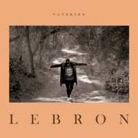 lebron - Toteking