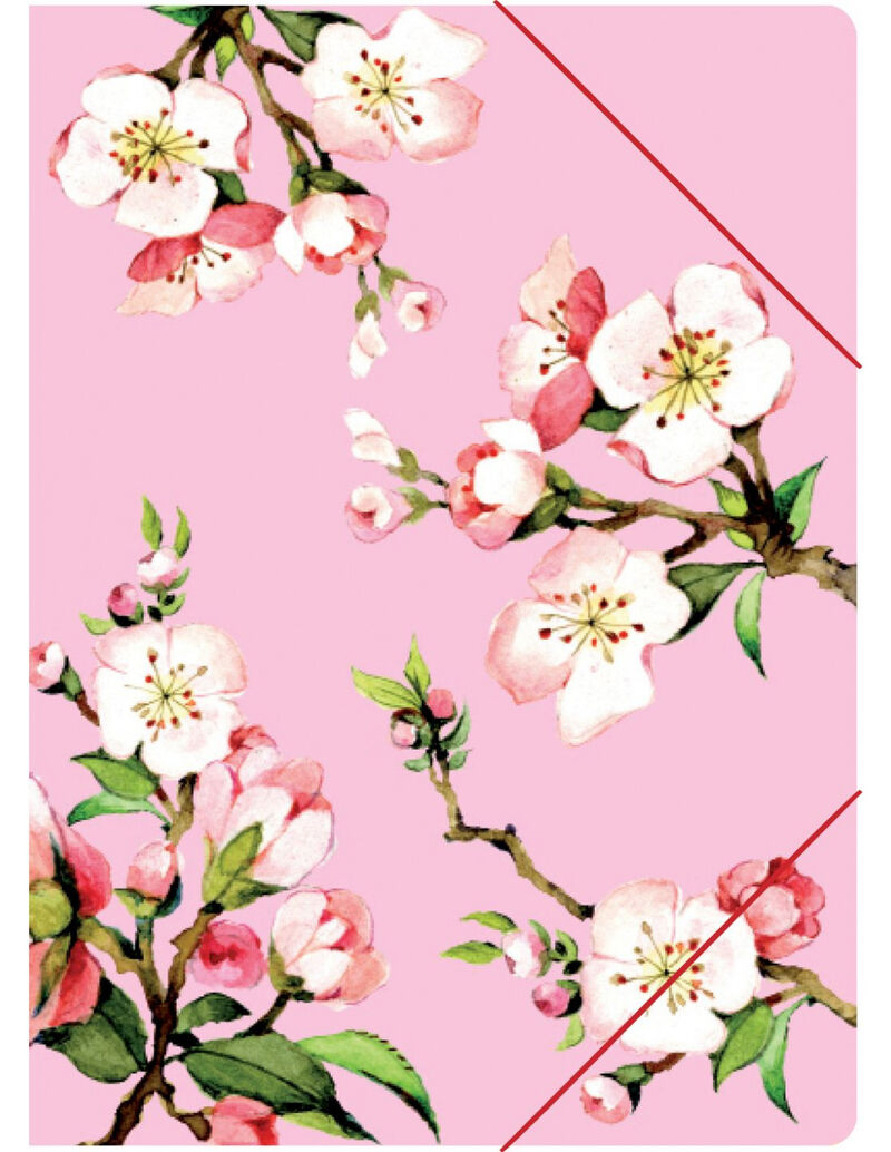 carpeta de coleccion jardin de flores kirschblte (flor de cerezo) - 