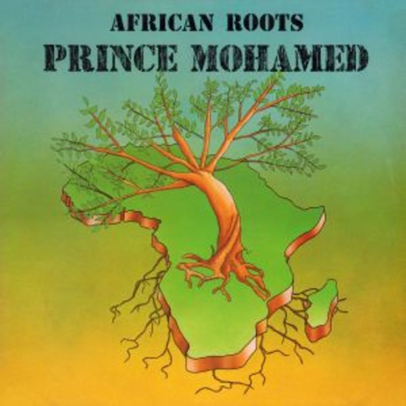 AFRICAN ROOTS