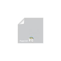 paq / 100h a4 iris 80gr gris perla r: 200401760