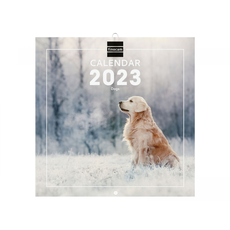 2023 * WALL CAL. 18X18 DOGS