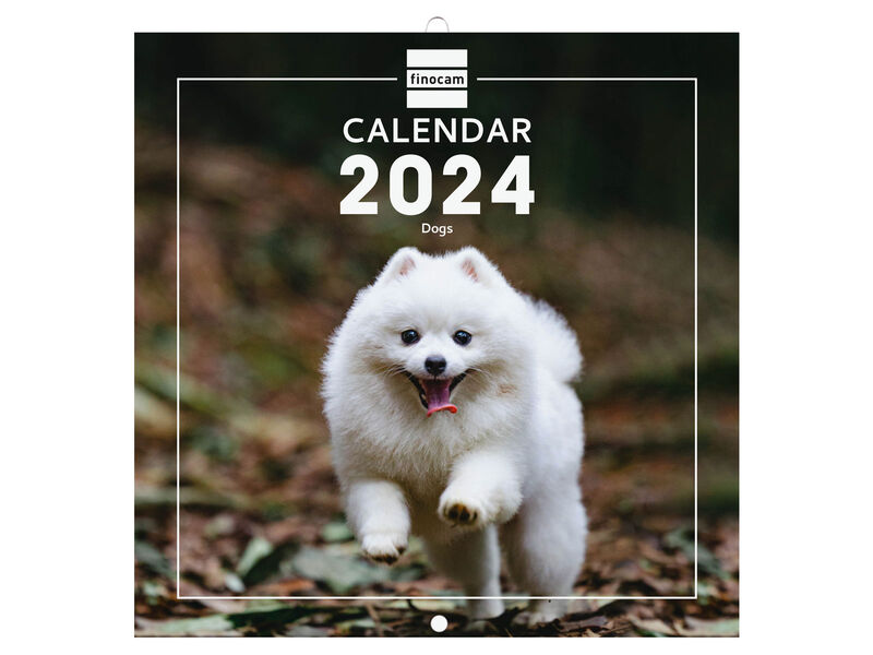 2024 * WALL CALENDAR 18X18 DOGS INTL