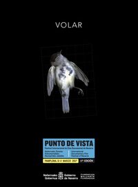PUNTO DE VISTA N.11 - PAMPLONA, 6-11 MARZO 2017 (CATALOGO DEL FESTIVAL INTERNACIONAL DE CINE DOCUMENTAL PUNTO DE VISTA