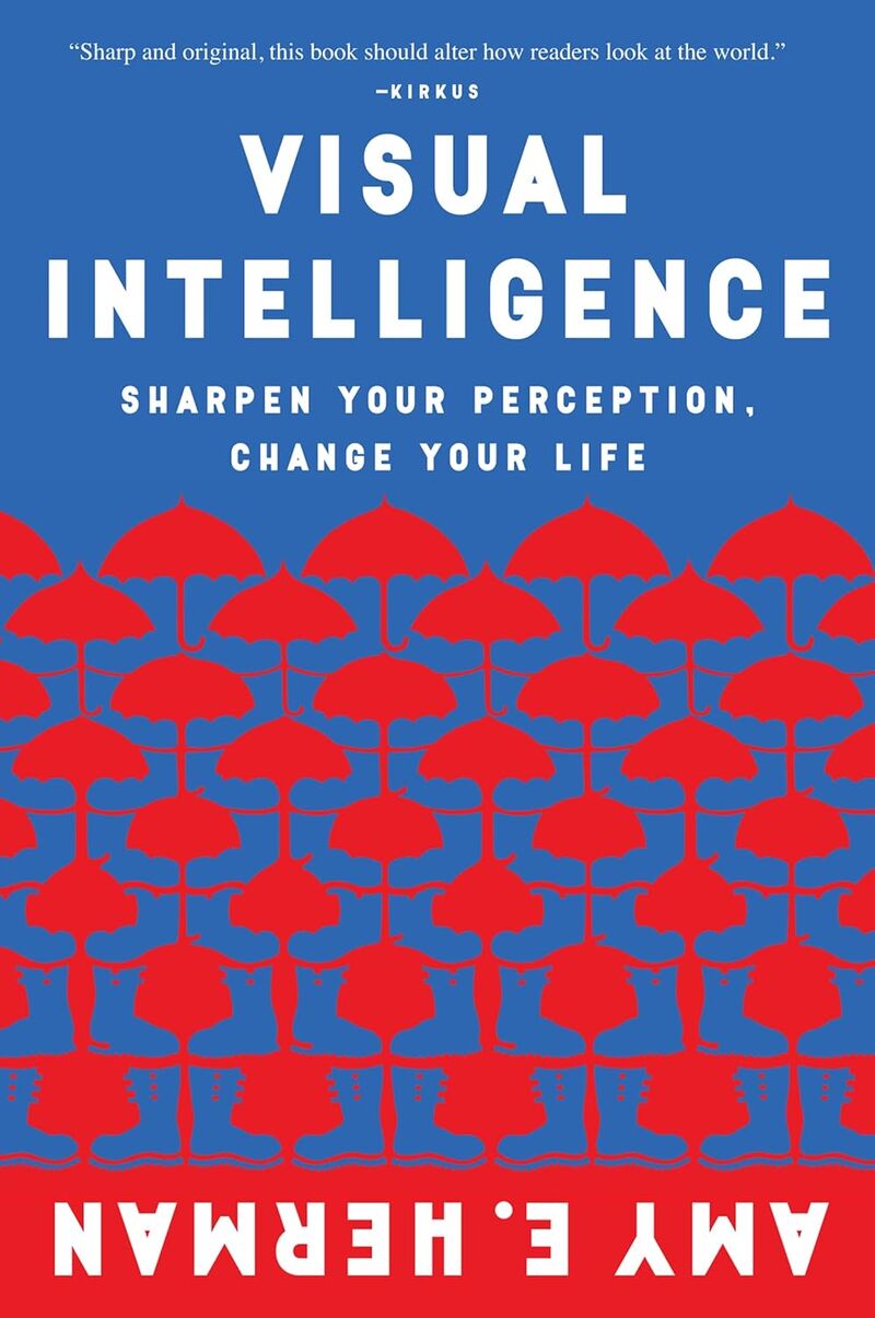 VISUAL INTELLIGENCE - SHARPEN YOUR PERCEPTION, CHANGE YOUR LIFE