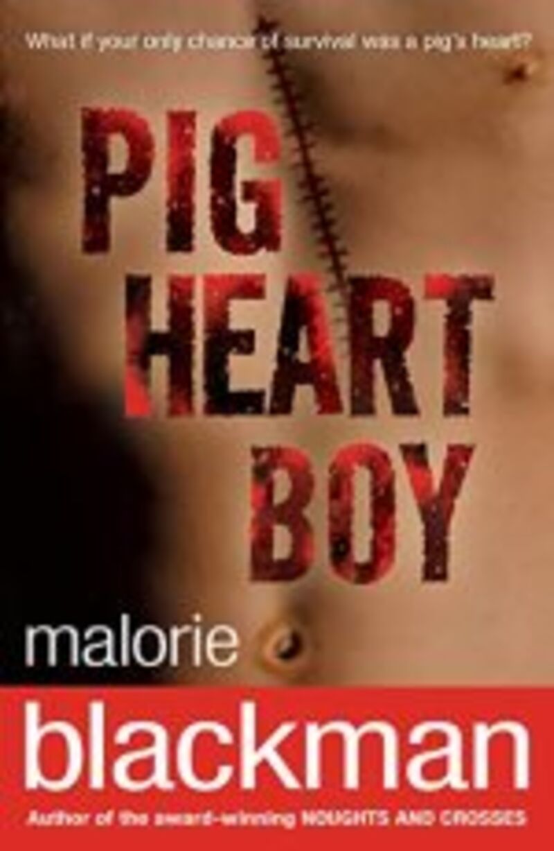 PIG HEART BOY