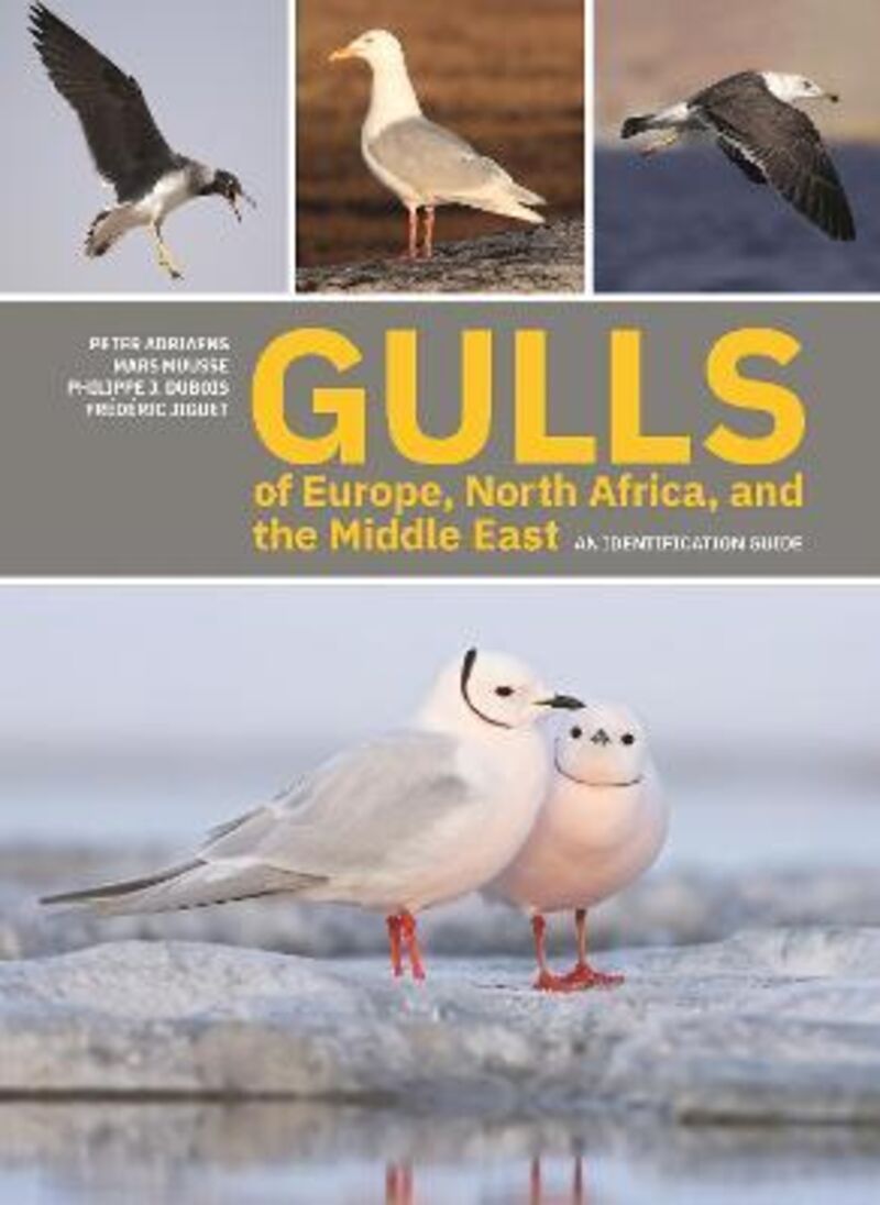 GULLS OF EUROPE, NORTH AFRICA, AND THE MIDDEL EAST