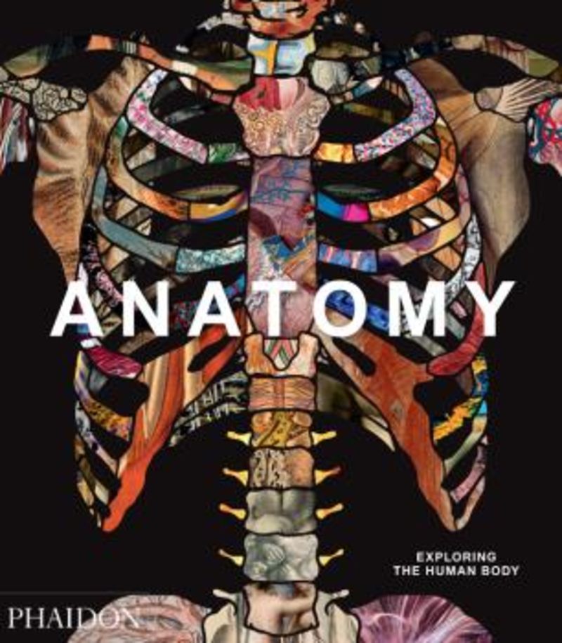anatomy - exploring the human body - Aa. Vv.