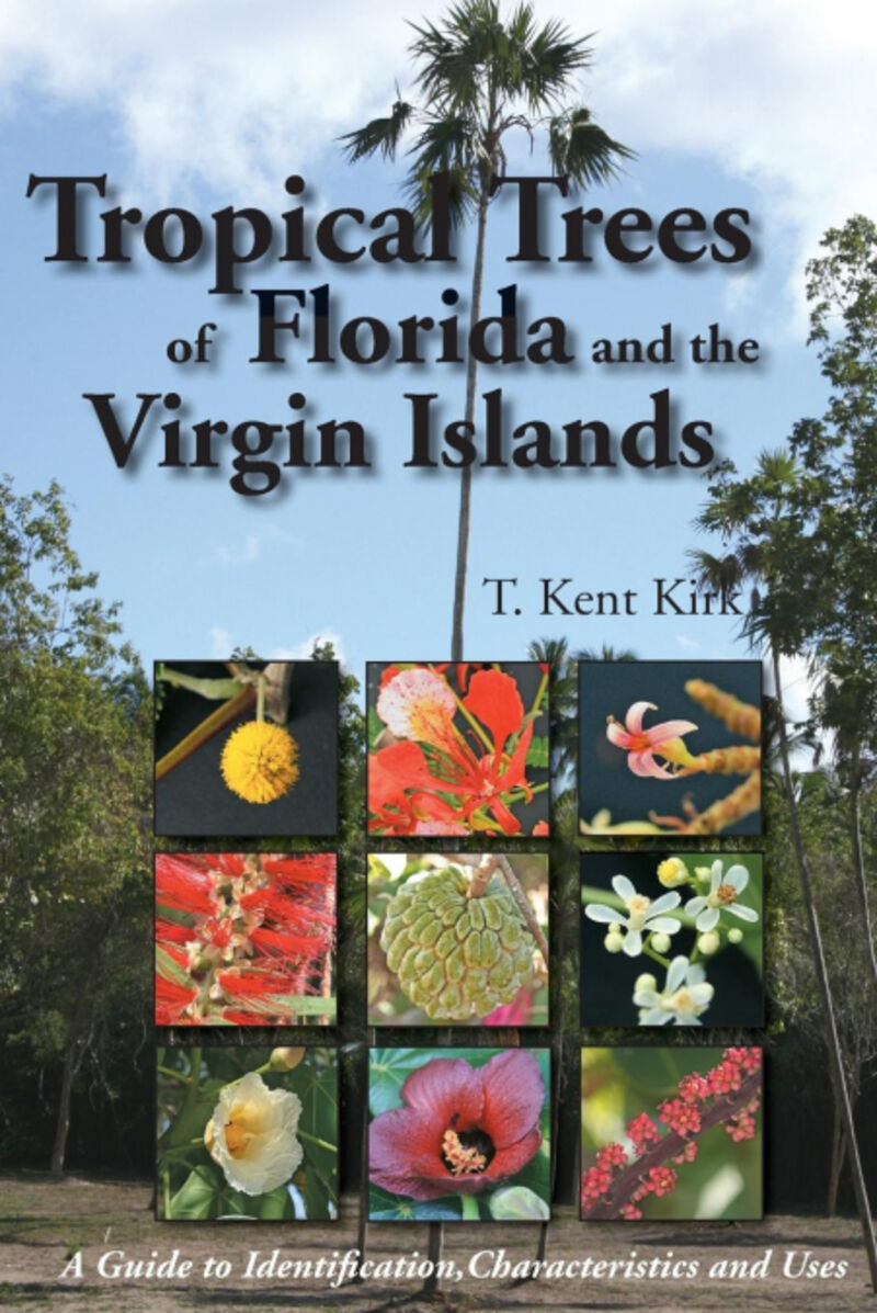 tropical trees of florida and the virgin islands