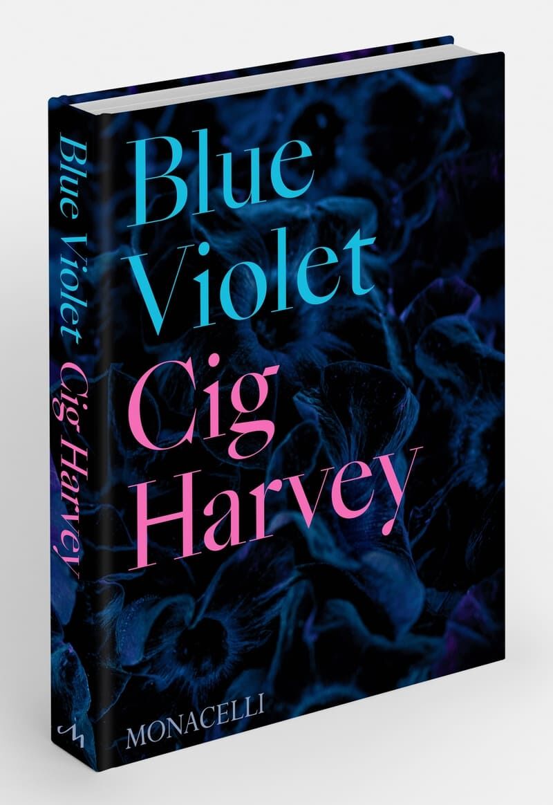 blue violet - Cig Harvey / Jacoba Urist