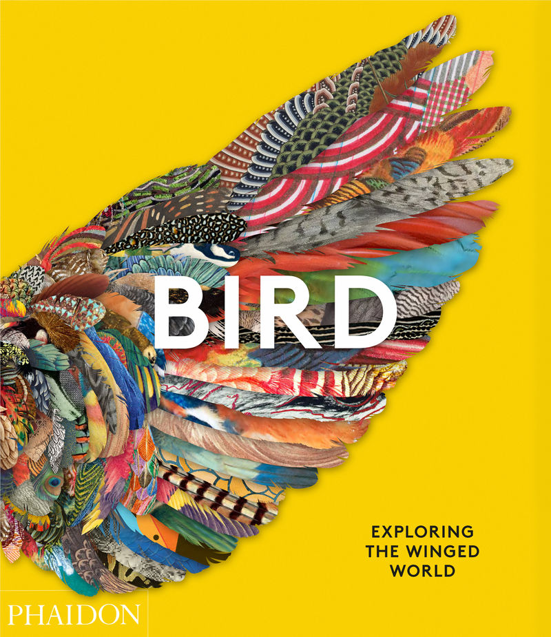 birds - Katrina Grouw