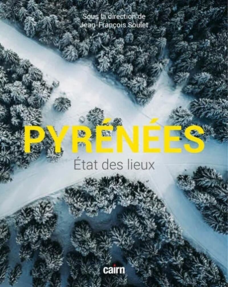 PYRENEES - ETAT DES LIEUX