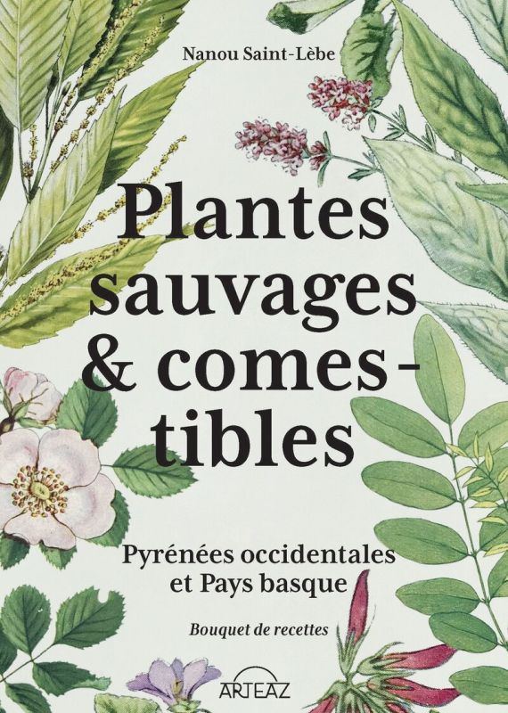 plantes sauvages & comestibles - pyrenees occidentales et pays basque - Nanou Saint Lebe
