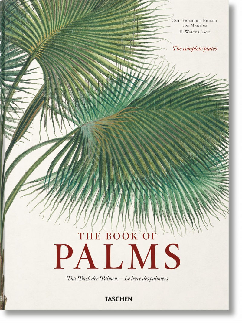MARTIUS - BOOK OF PALMS