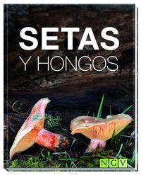 setas y hongos - Hans W. Kothe