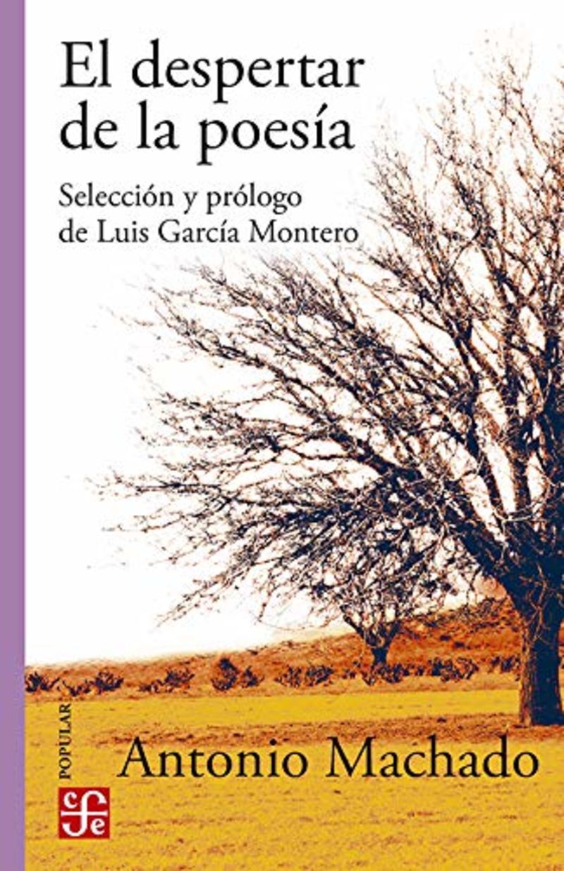 El despertar de la poesia - Antonio Machado / Luis Garcia Montero (ed. )