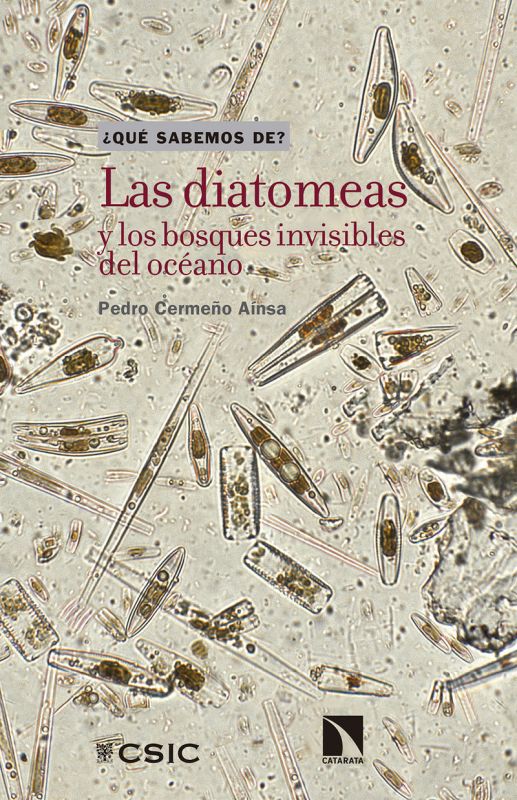 Las diatomeas y los bosques invisibles del oceano - Pedro Cermeño Ainsa