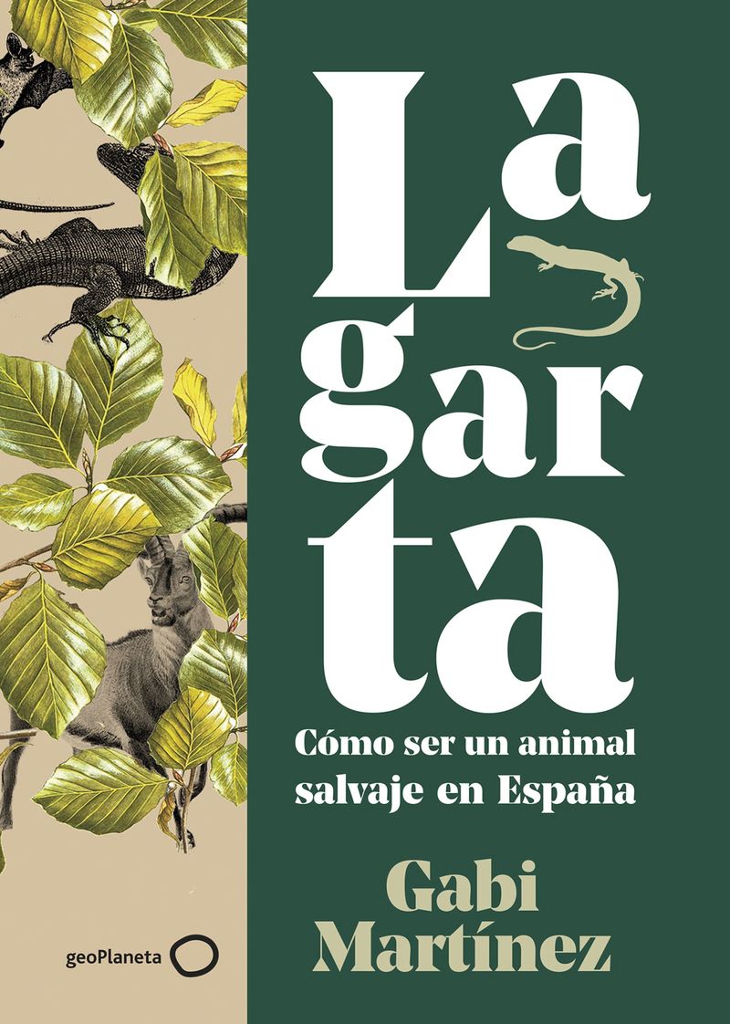 LAGARTA - COMO SER UN ANIMAL SALVAJE EN ESPAÑA