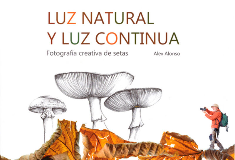 LUZ NATURAL Y LUZ CONTINUA - FOTOGRAFIA CREATIVA DE SETAS