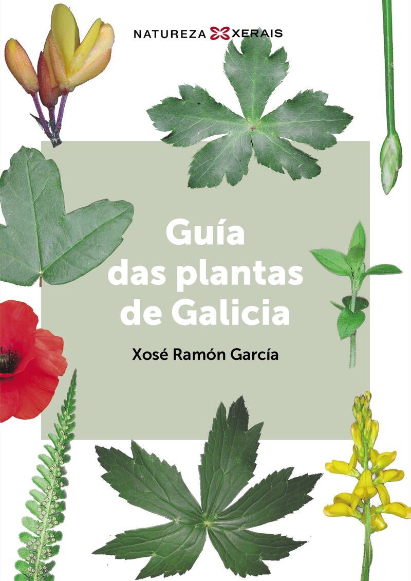 guia das plantas de galicia (gal) - Xose Ramon Garcia