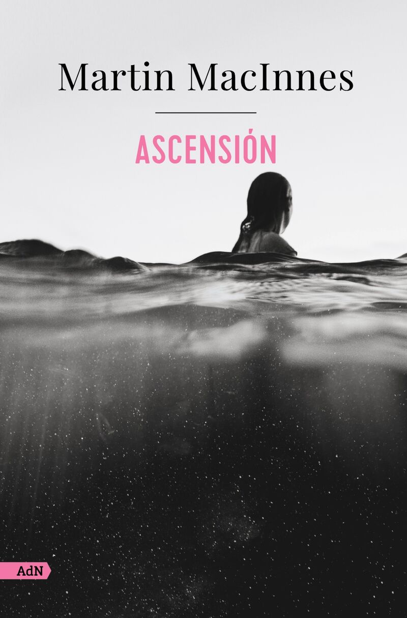 ascension - Martin Macinnes