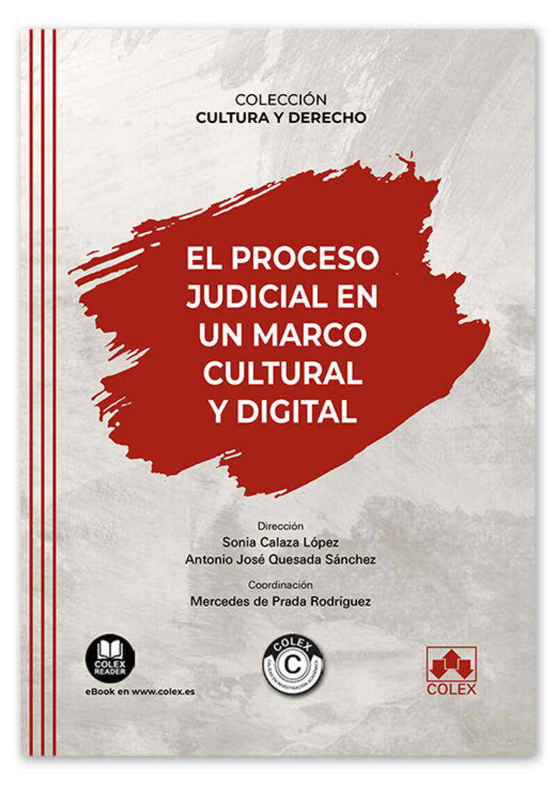 PROCESO JUDICIAL EN UN MARCO CULTURAL Y DIGITAL