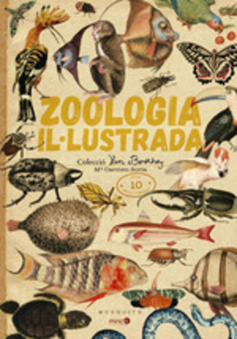 zoologia illustrada (cat)