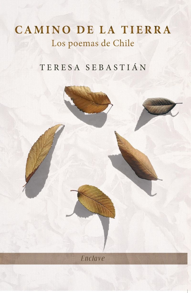 camino de la tierra - Teresa Sebastian