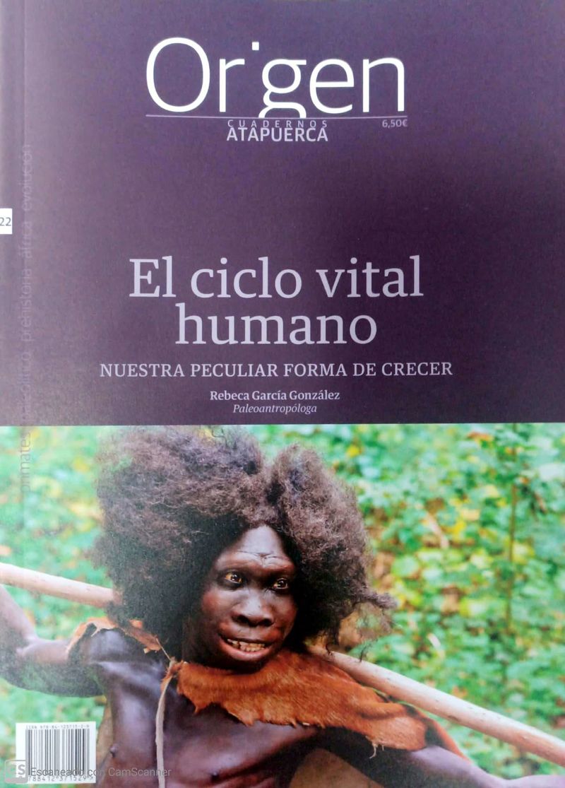 ORIGEN 22 - EL CICLO VITAL HUMANO