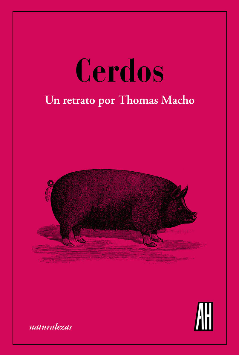 cerdos - Thomas Macho