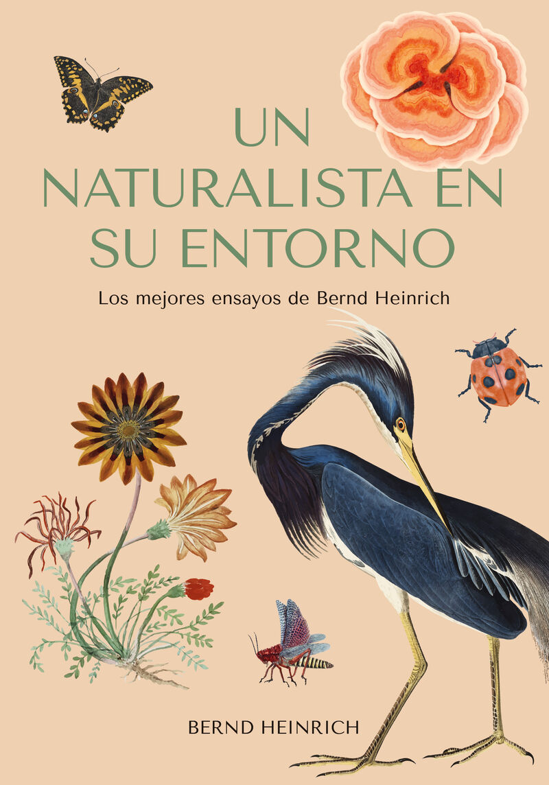 un naturalista en su entorno - los mejores ensayos de bernd heinrich - Bernd Heinrich