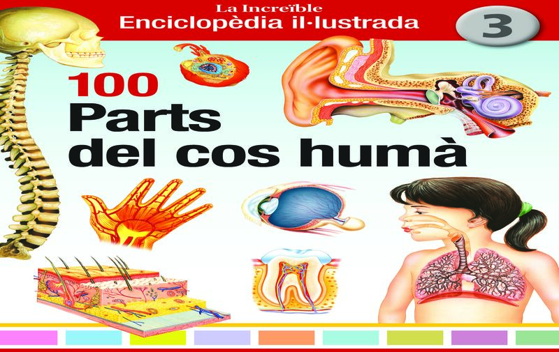 100 PARTS DEL COS HUMA - LA INCREIBLE ENCICLOPEDIA ILLUSTRADA