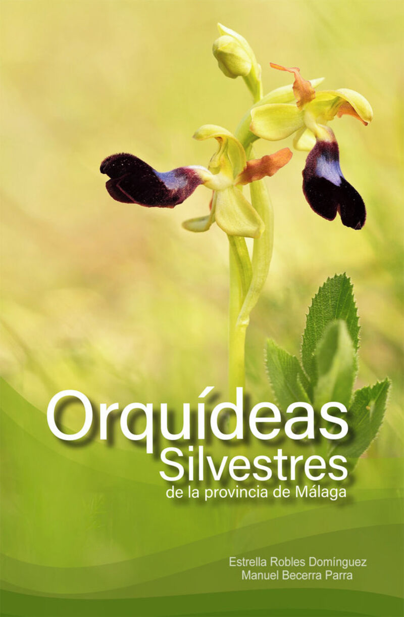 ORQUIDEAS SILVESTRES DE LA PROVINCIA DE MALAGA - GUIA BASICA DE IDENTIFICACION