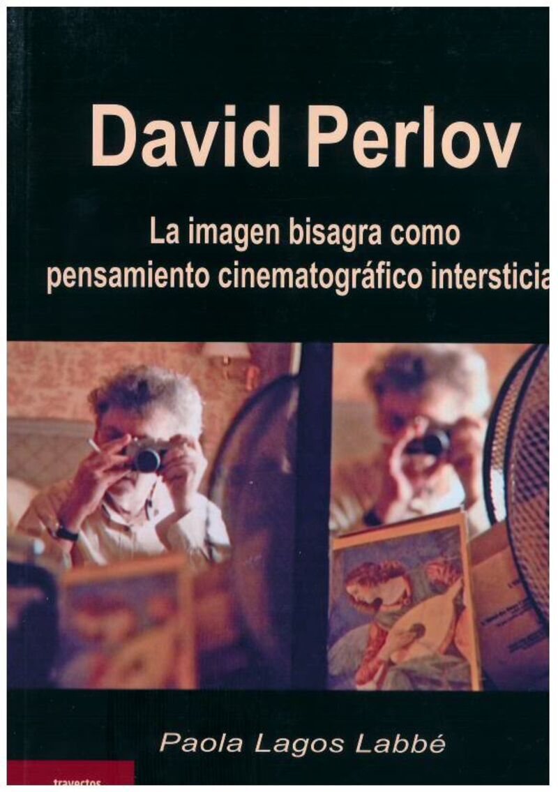 DAVID PERLOV - LA IMAGEN BISAGRA COMO PENSAMIENTO CINEMATOGRAFICO INTERSTICIAL