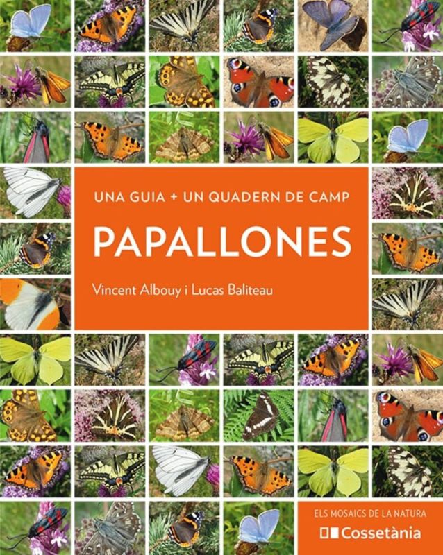 (pack) papallones (una guia + un quadern de camp) - Vincent Albouy / Lucas Baliteau