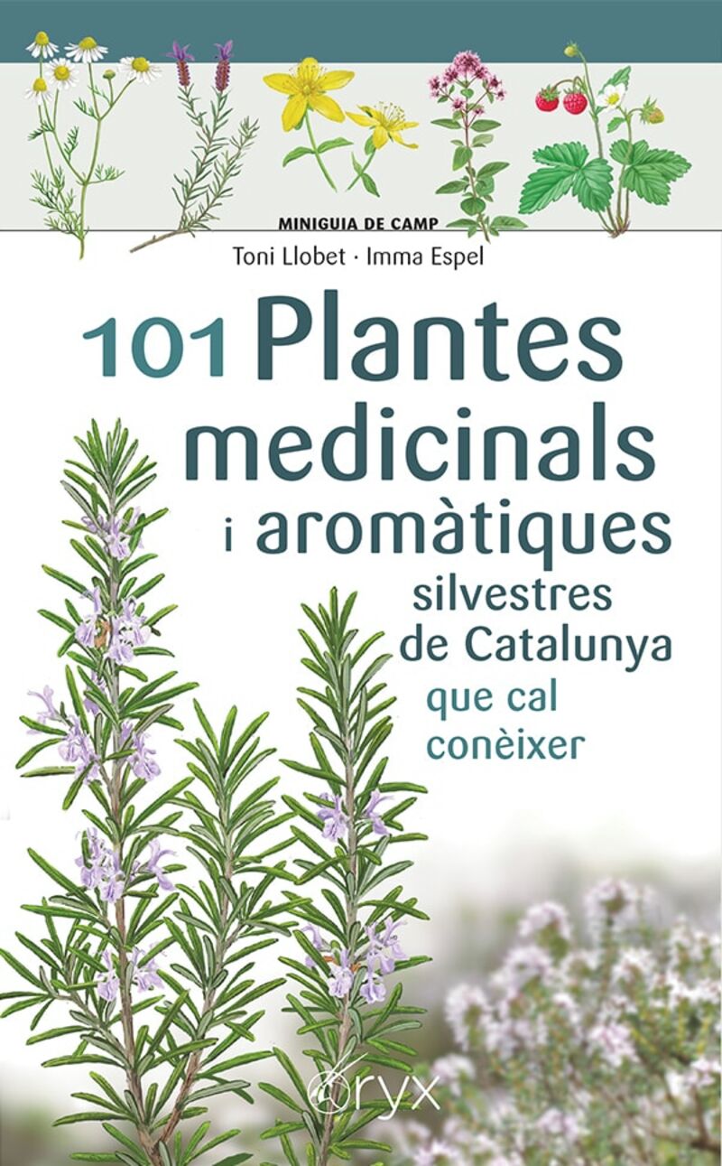 101 PLANTES MEDICINALS I AROMATIQUES SILVESTRES DE CATALUNYA QUE CAL CONEIXER