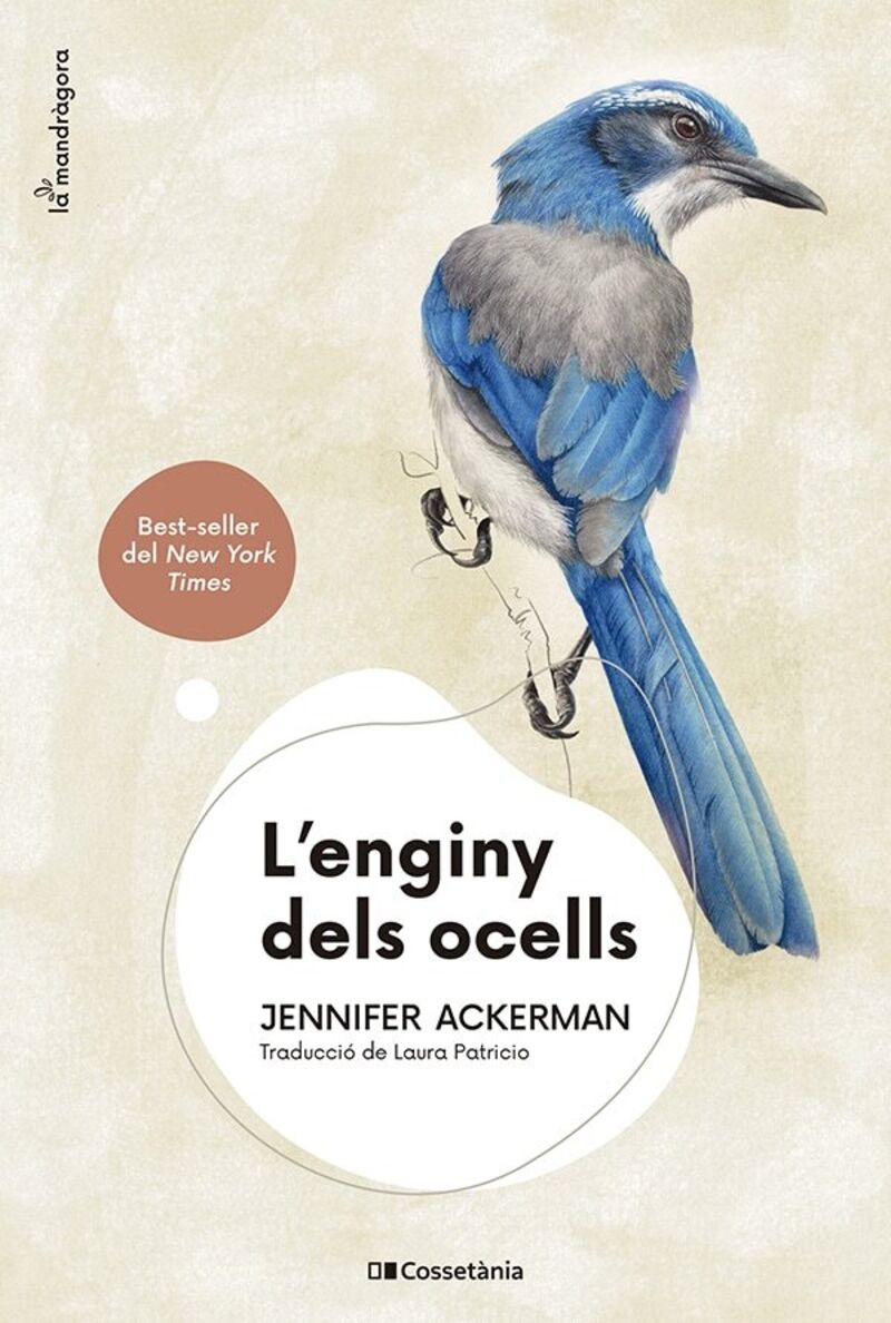 l'enginy dels ocells - Jennifer Ackerman