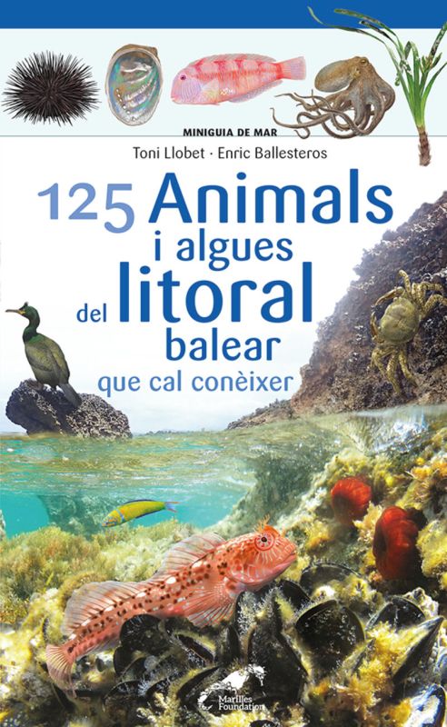 125 animals i algues del litoral balear que cal coneixer - Enric Ballesteros / Toni Llobet (il. )