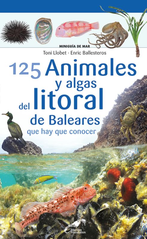 125 animales y algas del litoral de baleares - Enric Ballesteros / Toni Llobet (il. )