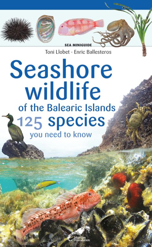 seashore wildlife on the balearic islands - Enric Ballesteros / Toni Llobet (il. )