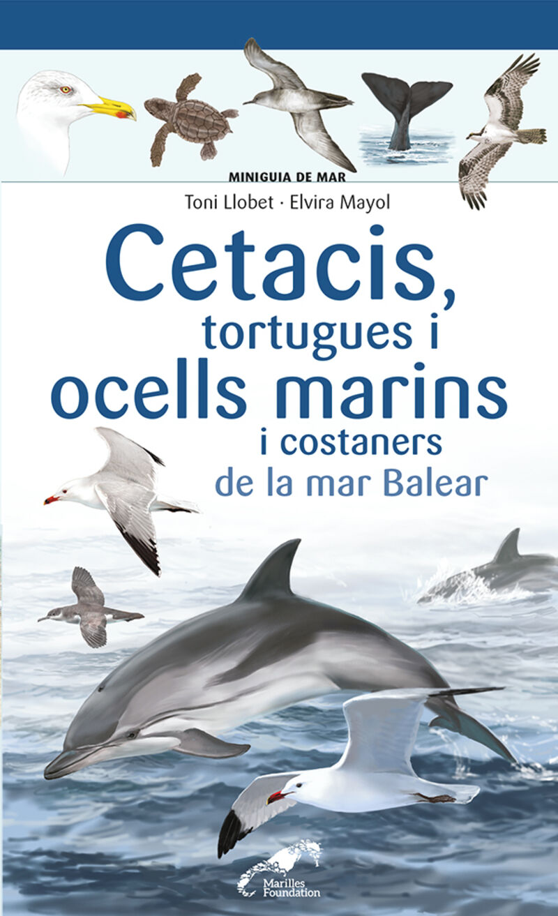 cetacis, tortugues i ocells marins costaners de la mar balear - Enric Ballesteros / Toni Llobet (il. )