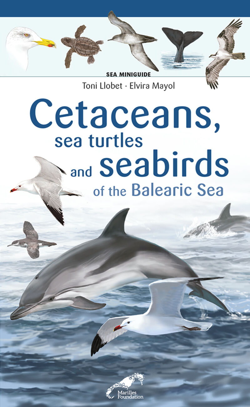 CETACEANS, SEA TURTLES AND SEABIRDS ON THE BALEARIC SEA