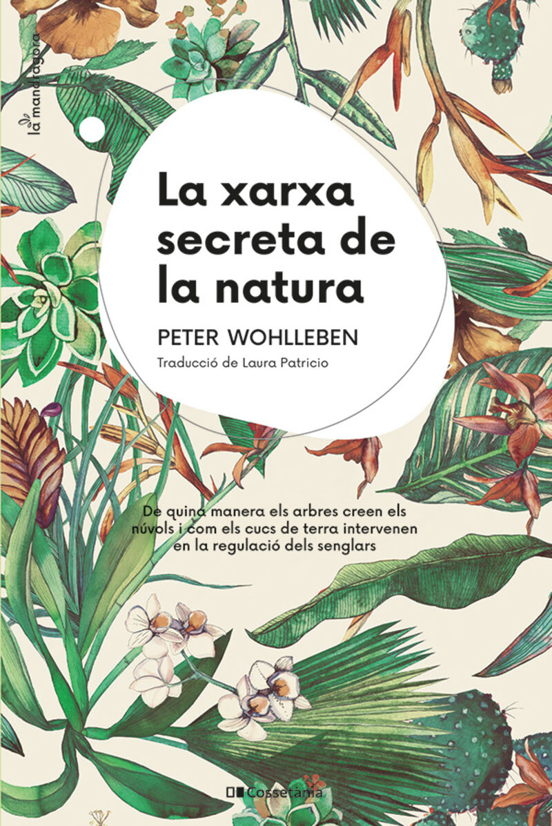 la xarxa secreta de la natura - Peter Wohlleben