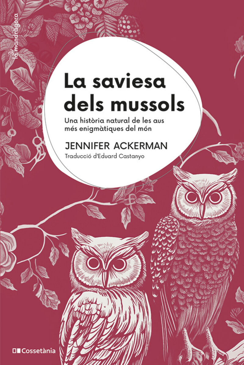 la saviesa dels mussols - Jennifer Ackerman