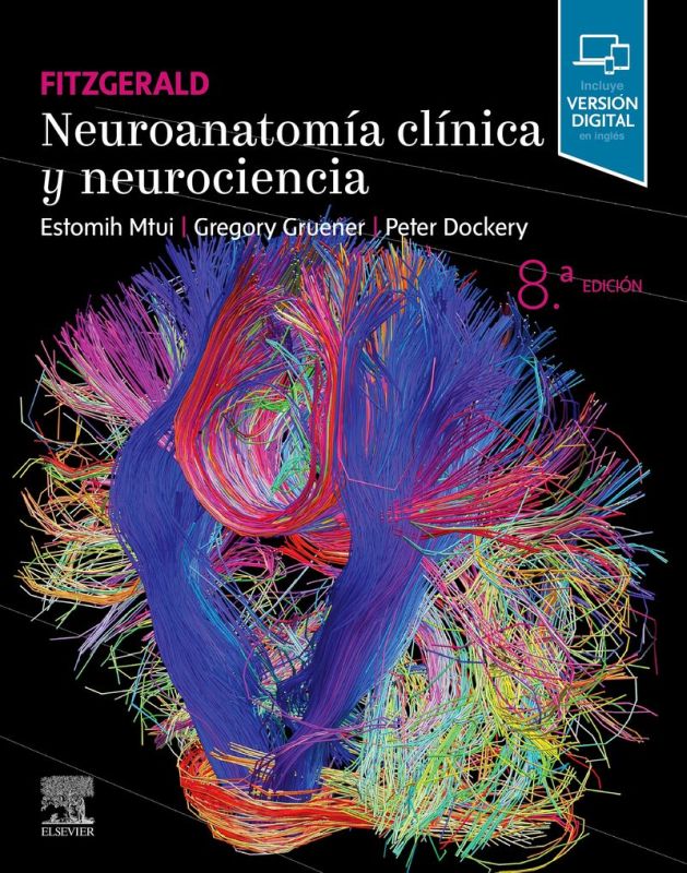 (8 ED) FITZGERALD - NEUROANATOMIA CLINICA Y NEUROCIENCIA