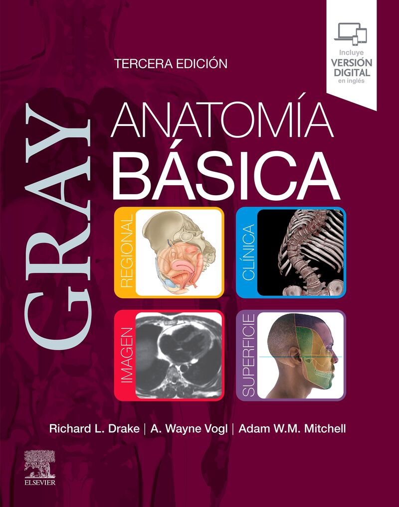 (3 ED) GRAY. ANATOMIA BASICA