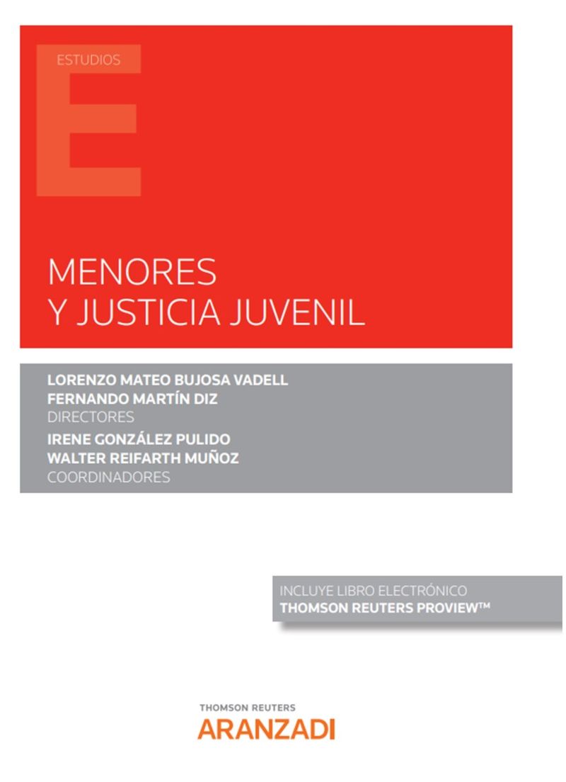 menores y justicia juvenil (duo) - Fernando Martin Diz