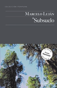 subsuelo (cartone) - Marcelo Lujan
