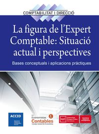 FIGURA DE L'EXPERT COMPTABLE, LA - SITUACIO ACTUAL I PERSPECTIVES - BASES CONCEPTUALS I APLICACIONS PRACTIQUES