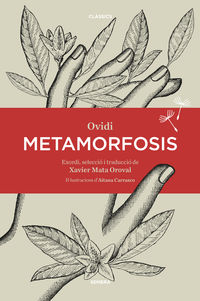 metamorfosis - Ovidi