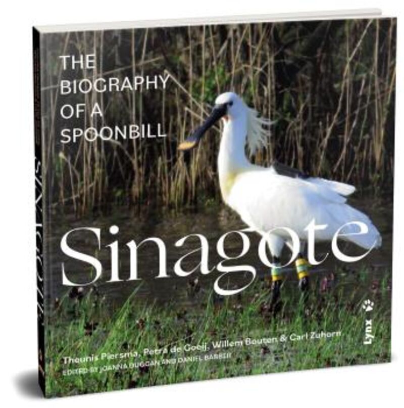 SINAGOTE - THE BIOGRAPHY OF A SPOONBILL